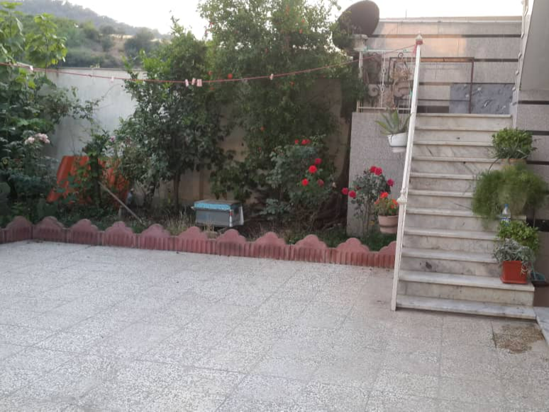 حیاط
