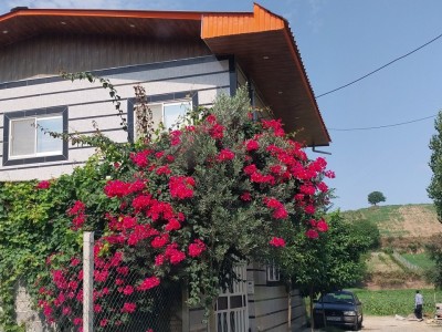 خانه مسافر امیر، طبقه همکف