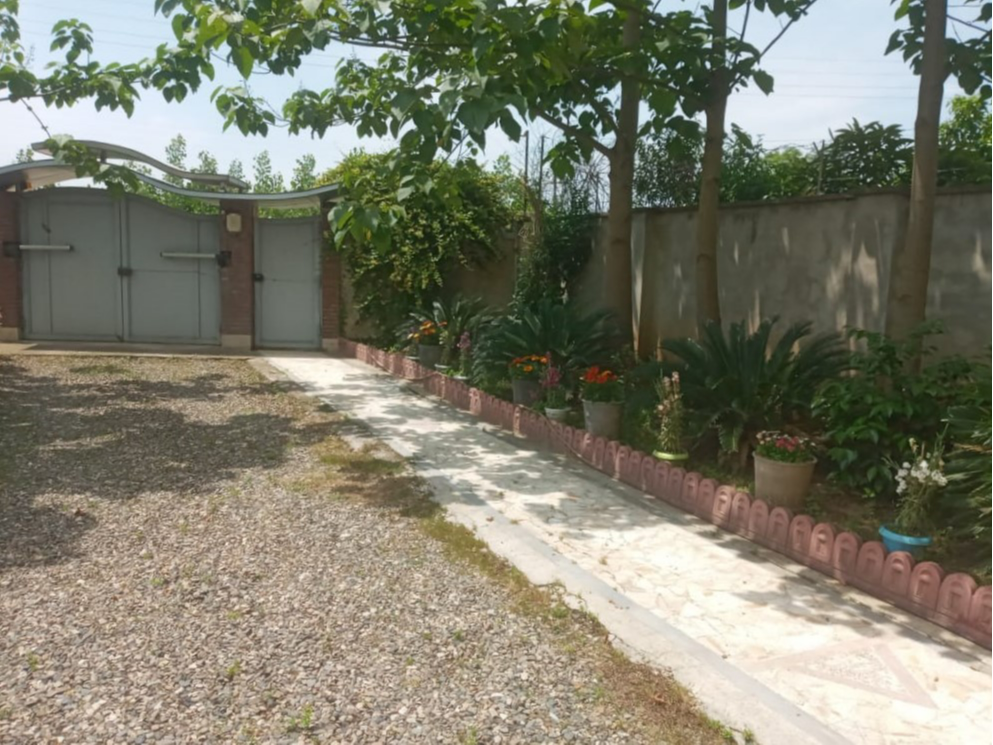 حیاط