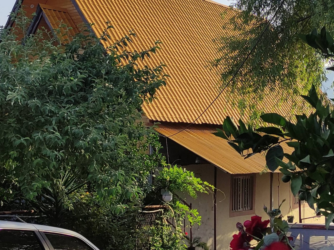 نمای کلبه