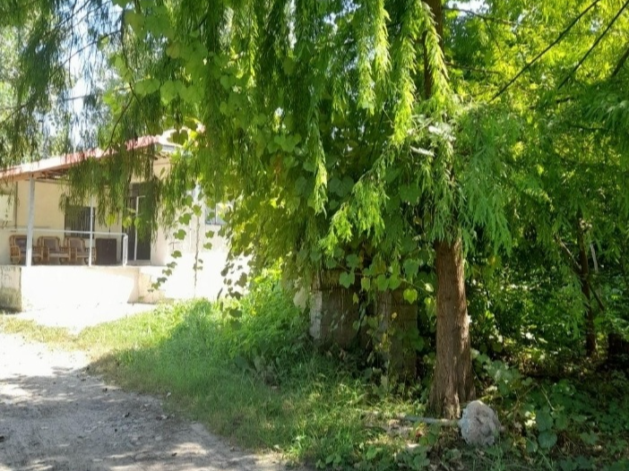 نمای بیرونی ساختمان