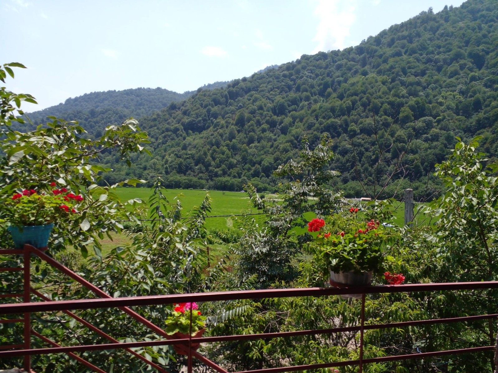 اتاق پذیرایی اتاق پذیرایی