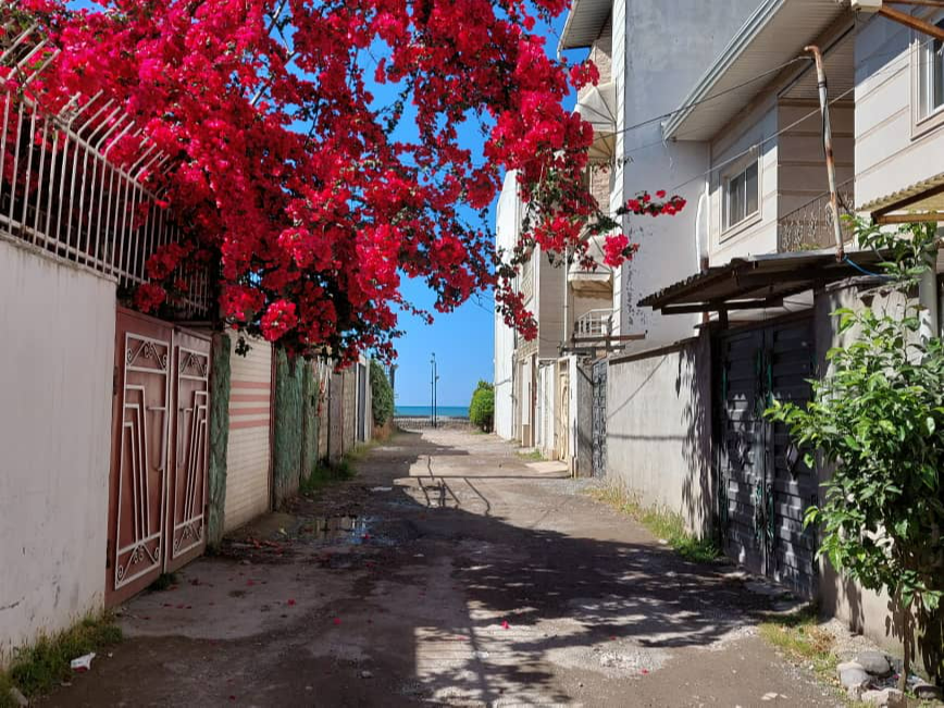 نمای بیرونی