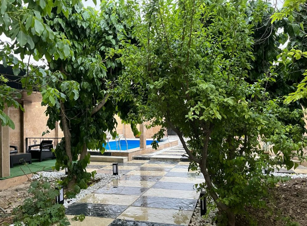 حیاط