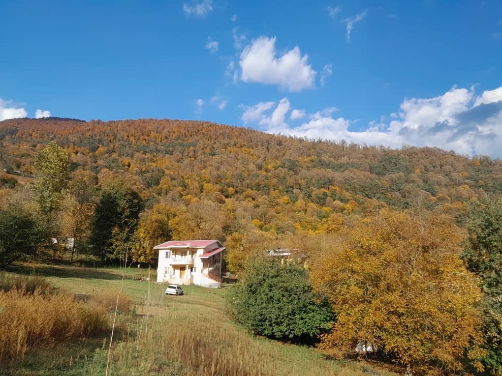 نمای ساختمان نمای ساختمان