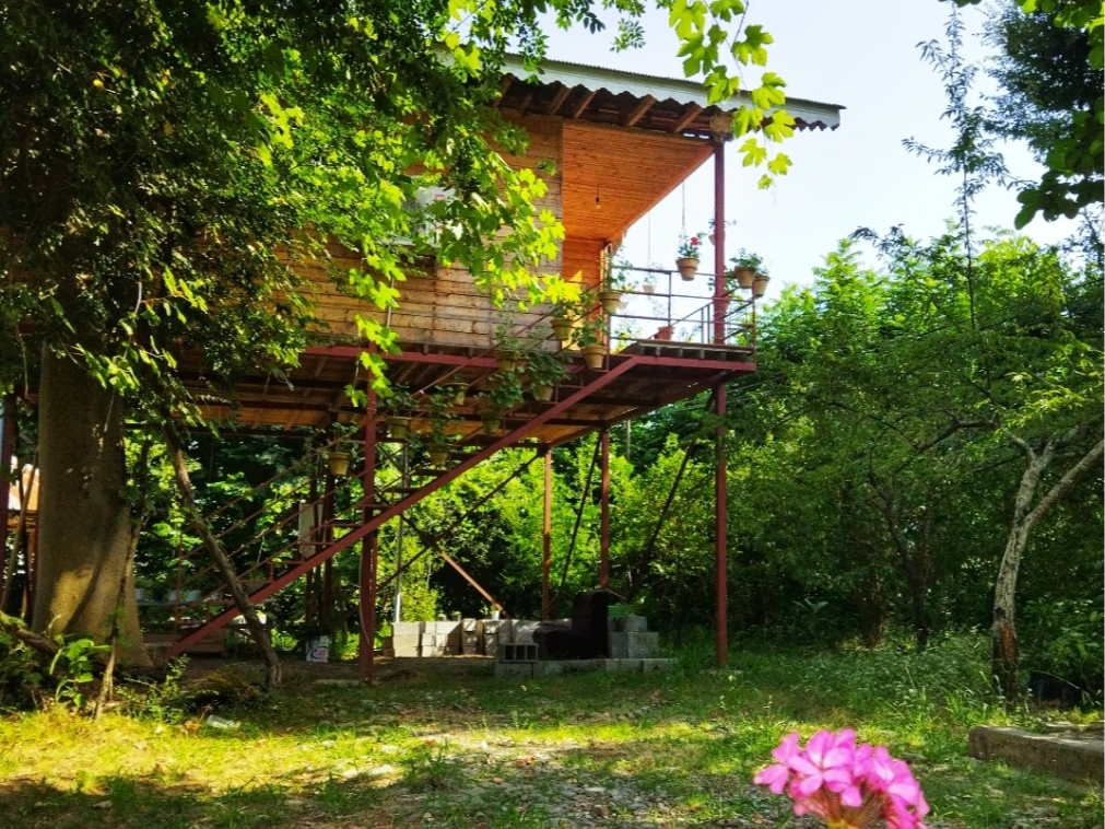 نمای بیرونی