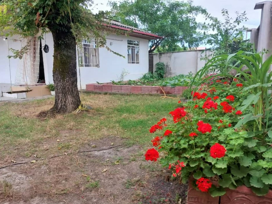 حیاط