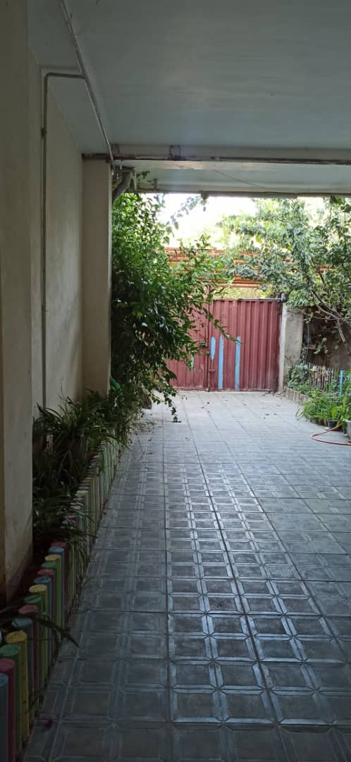 حیاط