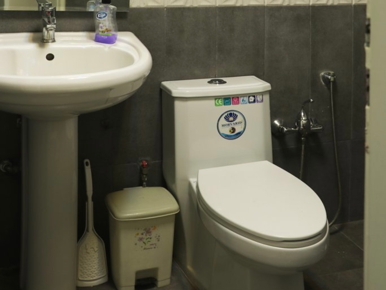 سرویس بهداشتی