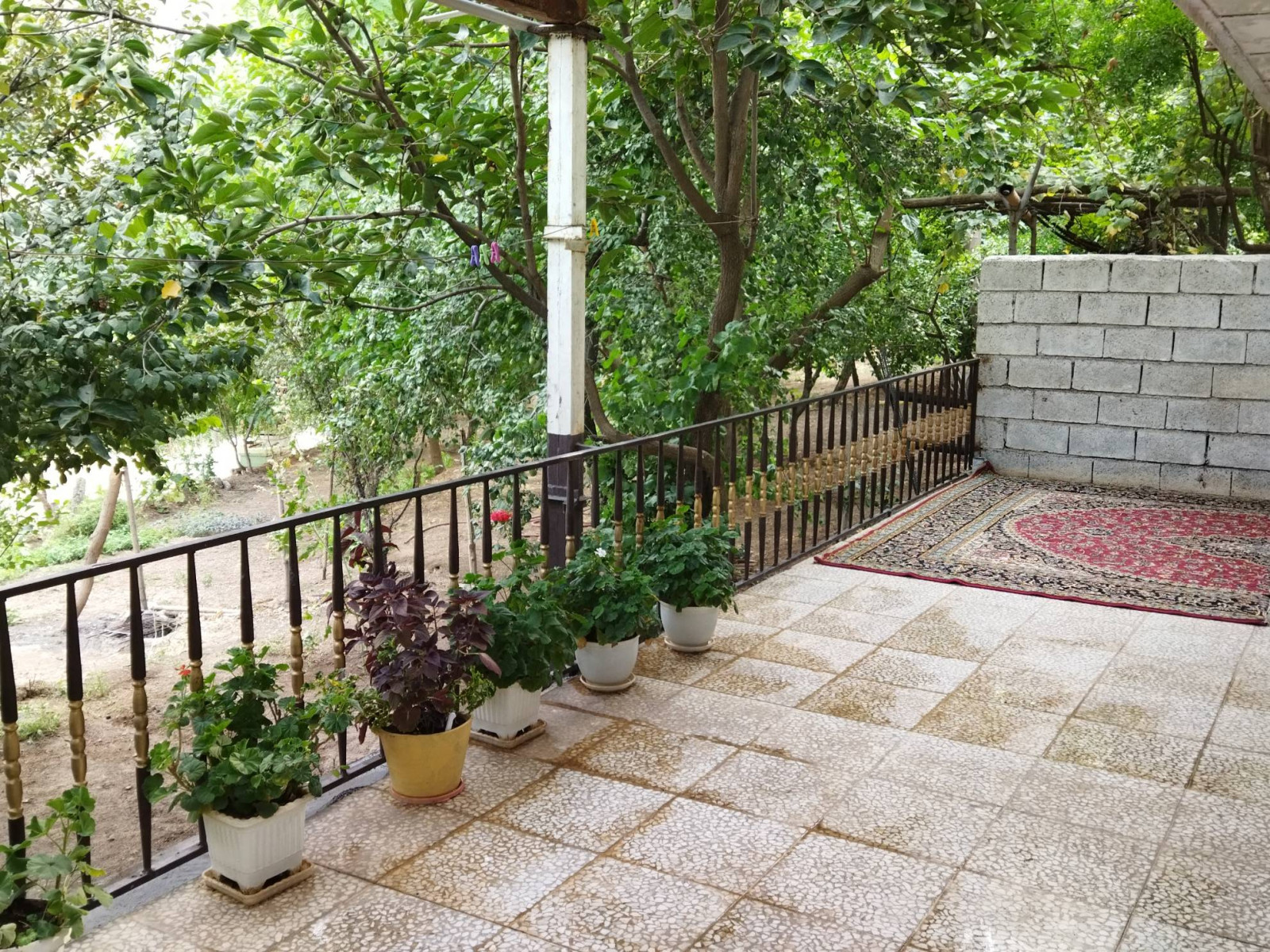 حیاط 30 متری