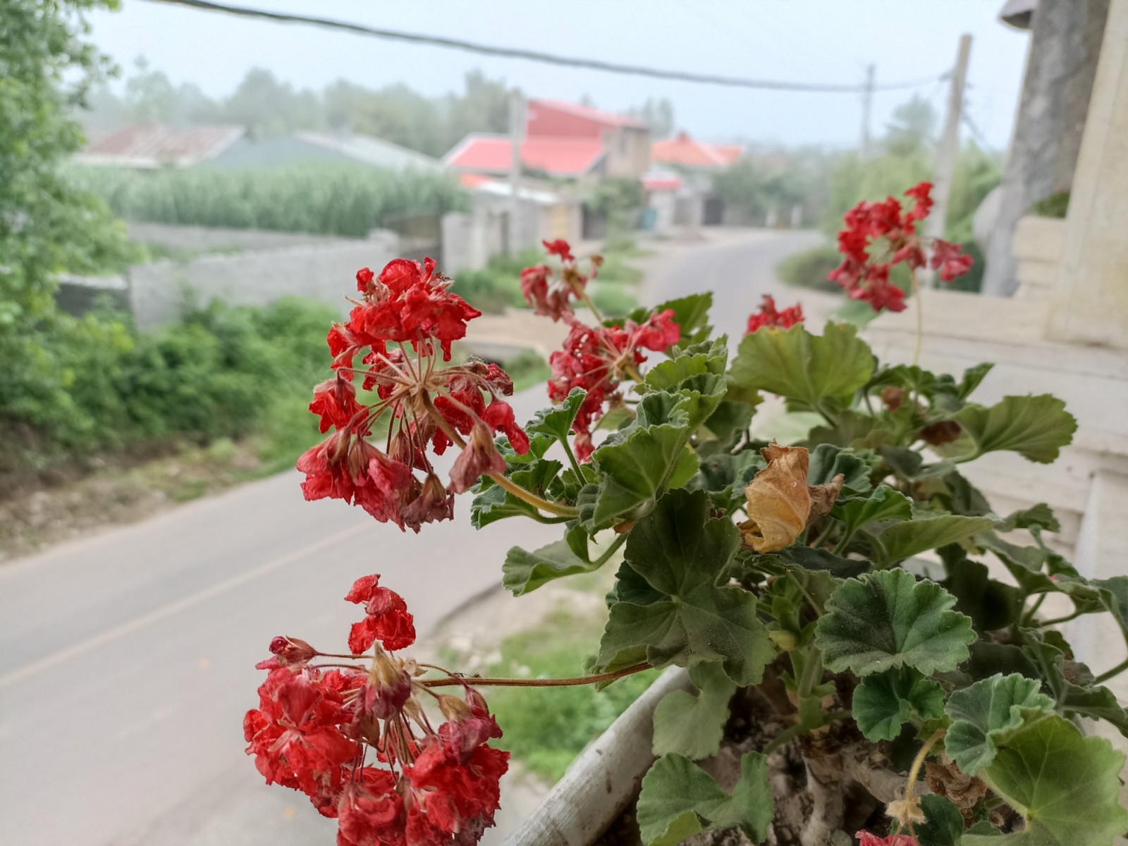 نمای بیرونی ساختمان