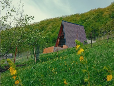 ویلای تک خواب جنگلی در روستای کسمه‌جان