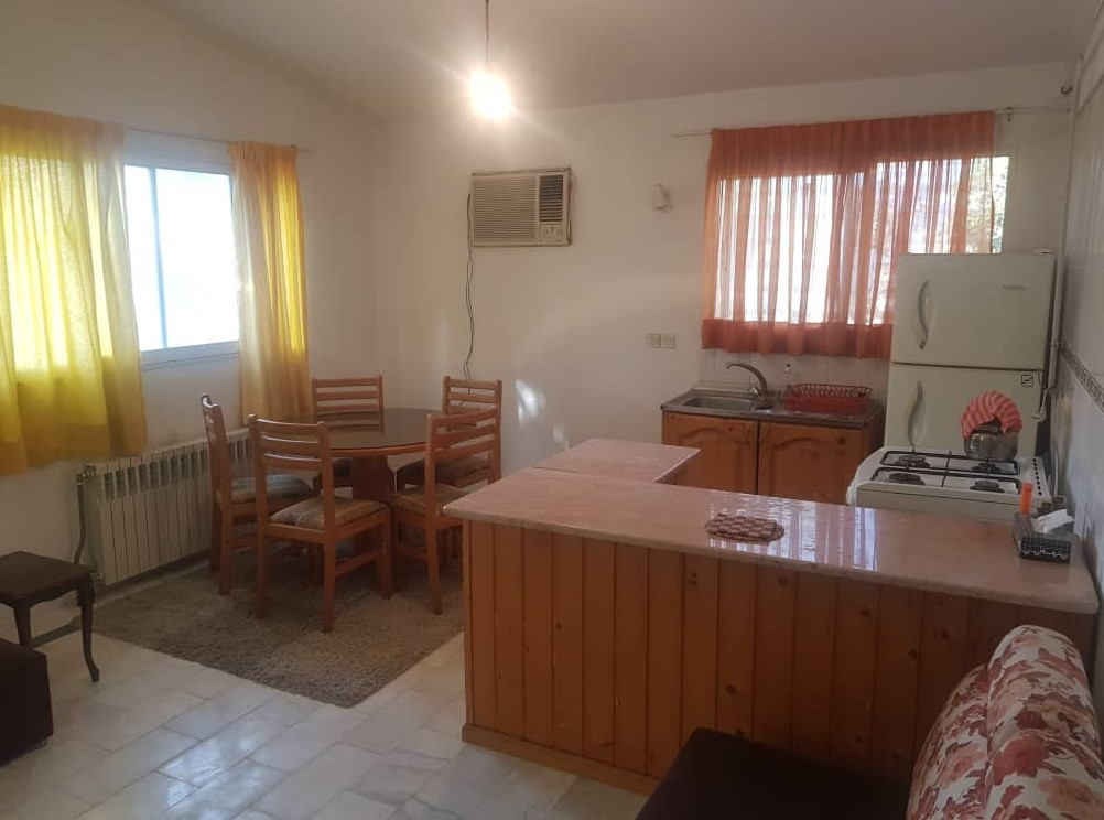 اتاق پذیرایی و آشپزخانه