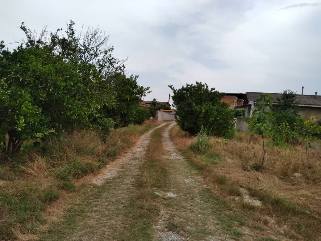 محوطه باغ محوطه باغ