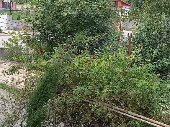 نمای بیرونی ساختمان