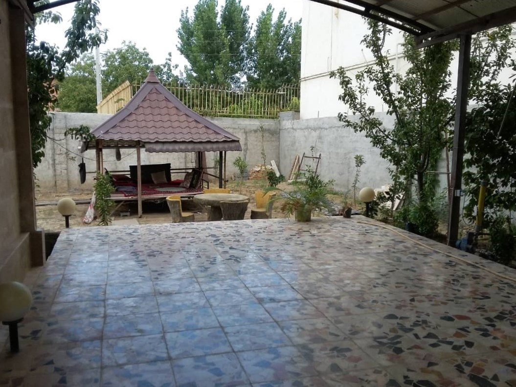 حیاط