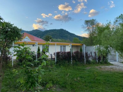 ویلای تک خواب جنگلی  باران در محیطی آرام