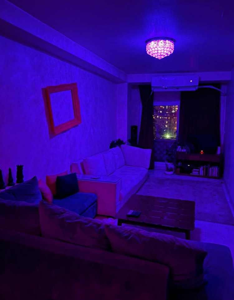 اتاق پذیرایی