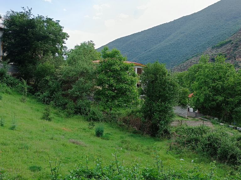 نمای بیرونی