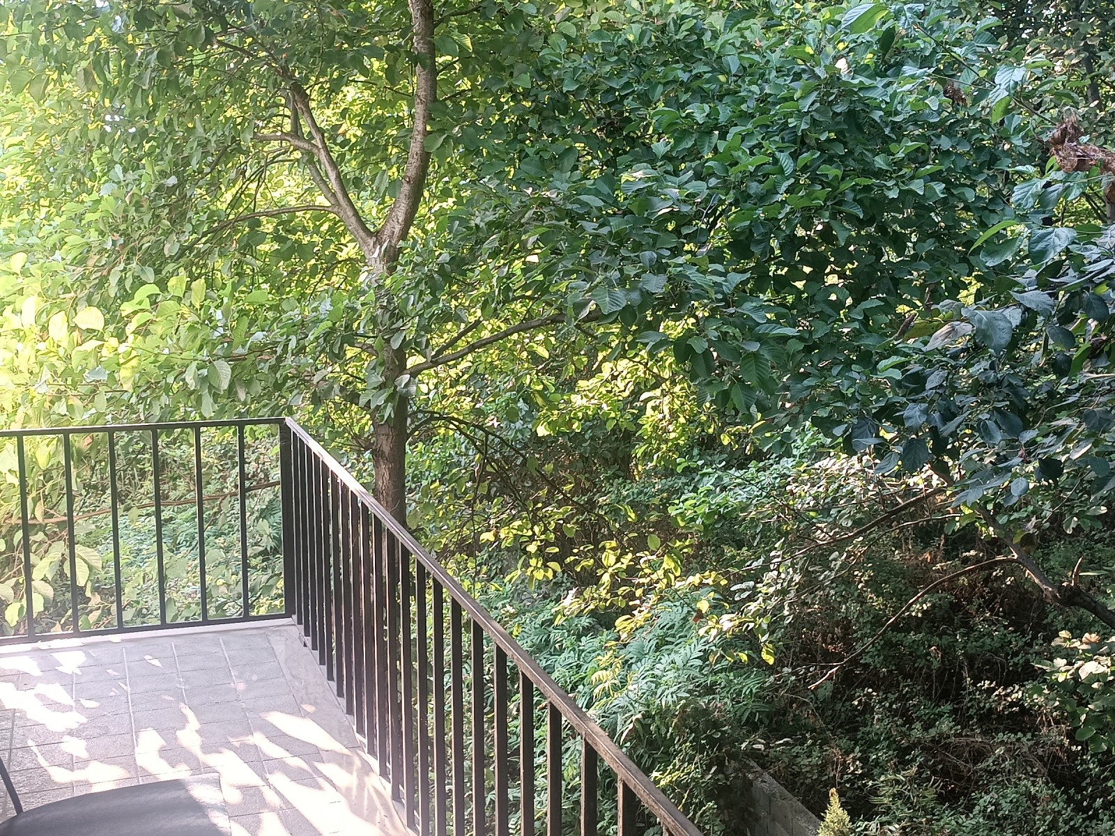 نمای بیرونی ساختمان