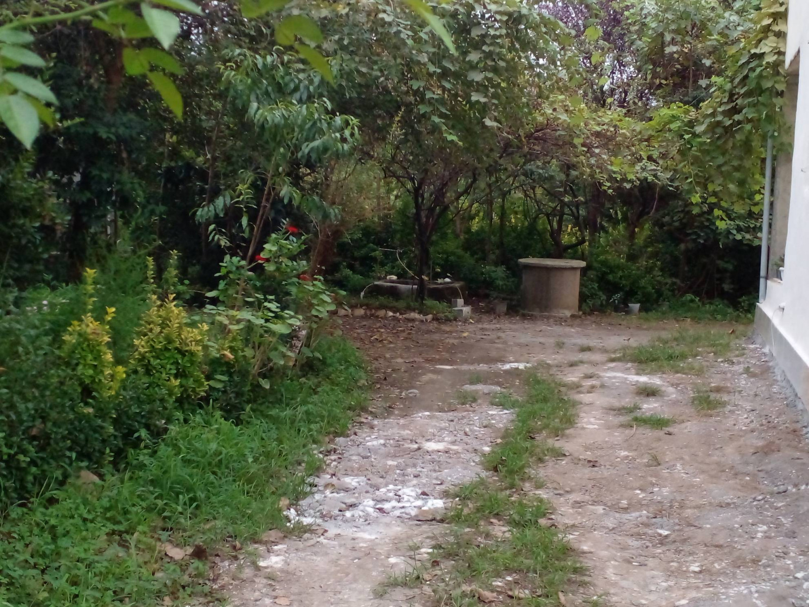 محوطه بیرون