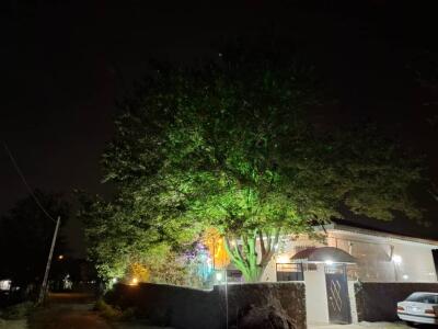 ویلای قیصر کوه در ۲۰کیلومتری رشت روستای کچا