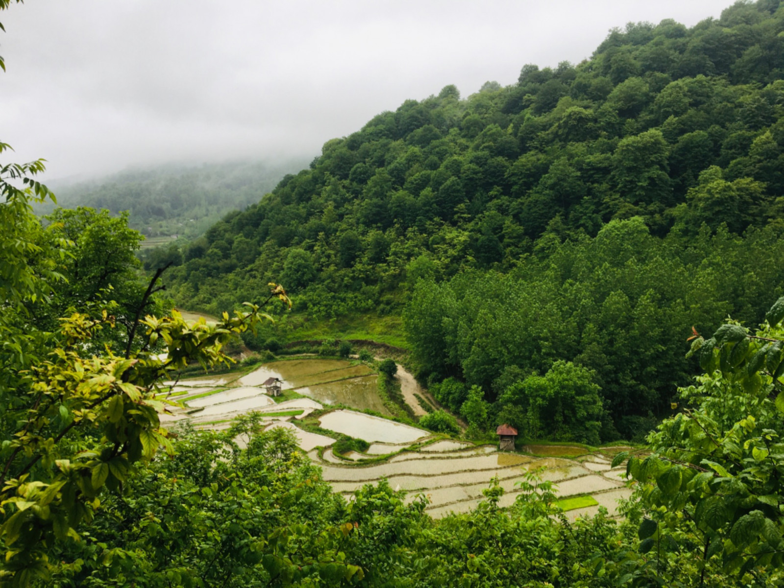 ویو منطقه ویو منطقه