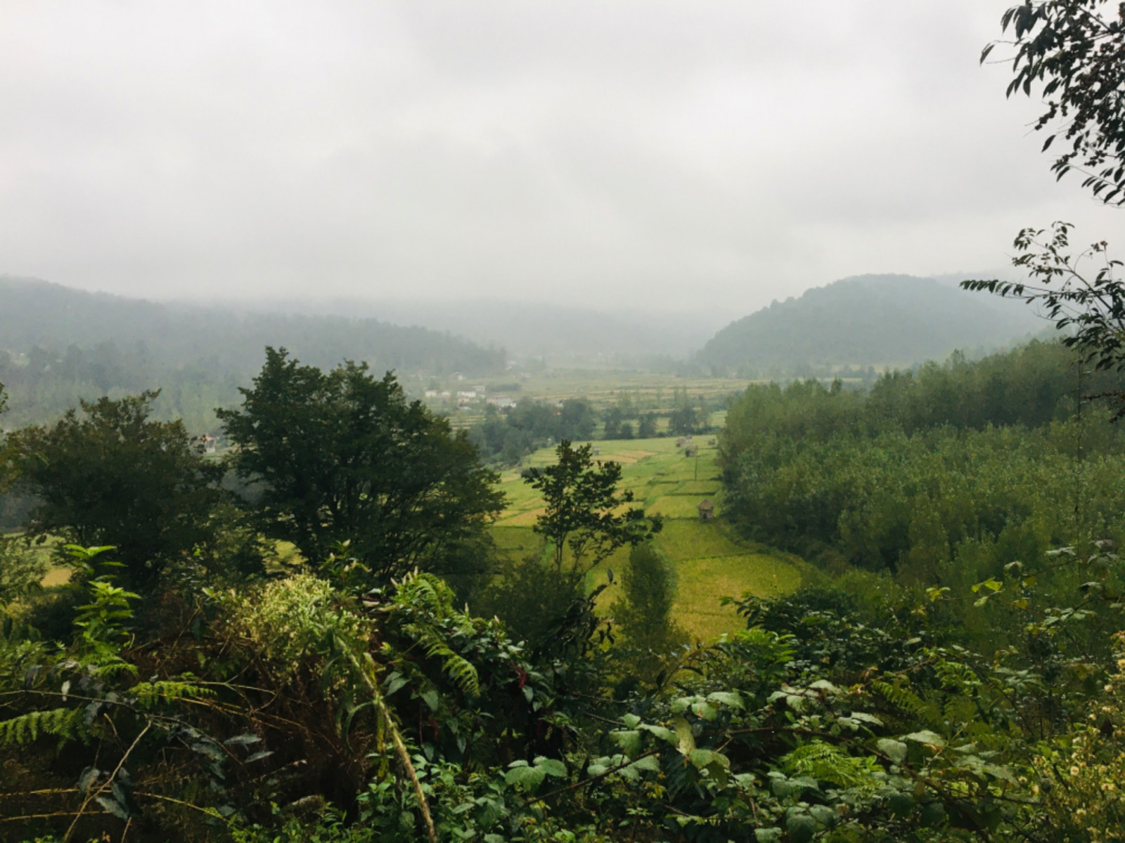 ویو منطقه ویو منطقه