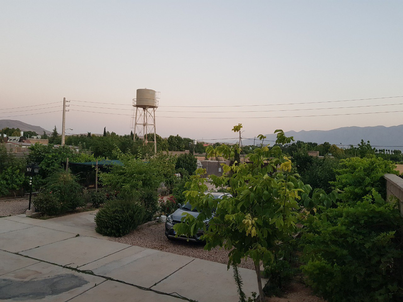 حیاط