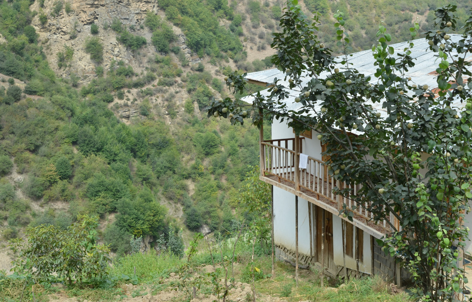 نمای بیرون ساختمان