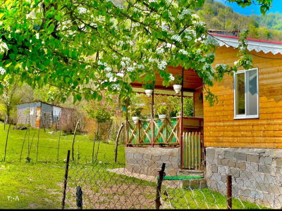 باغ ویلای تک خواب جنگلی دربست