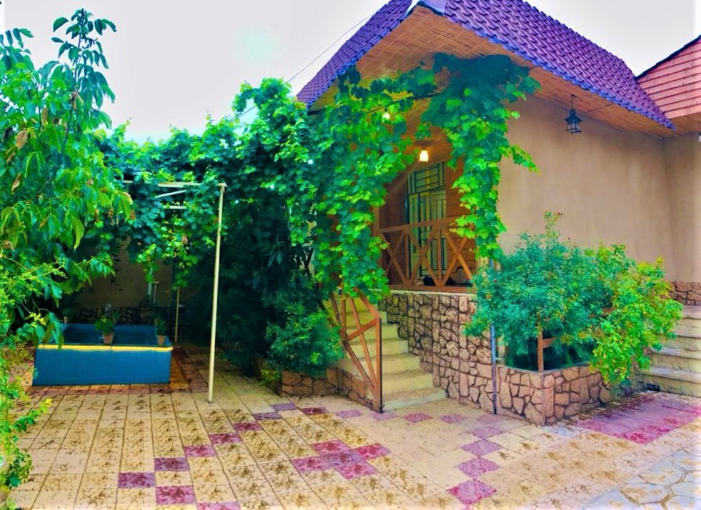 محوطه حیاط مجموعه