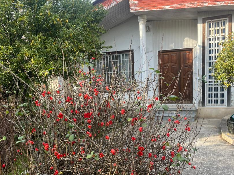 نمای بیرونی ساختمان