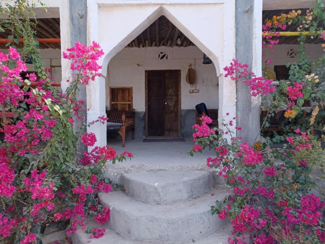حیاط