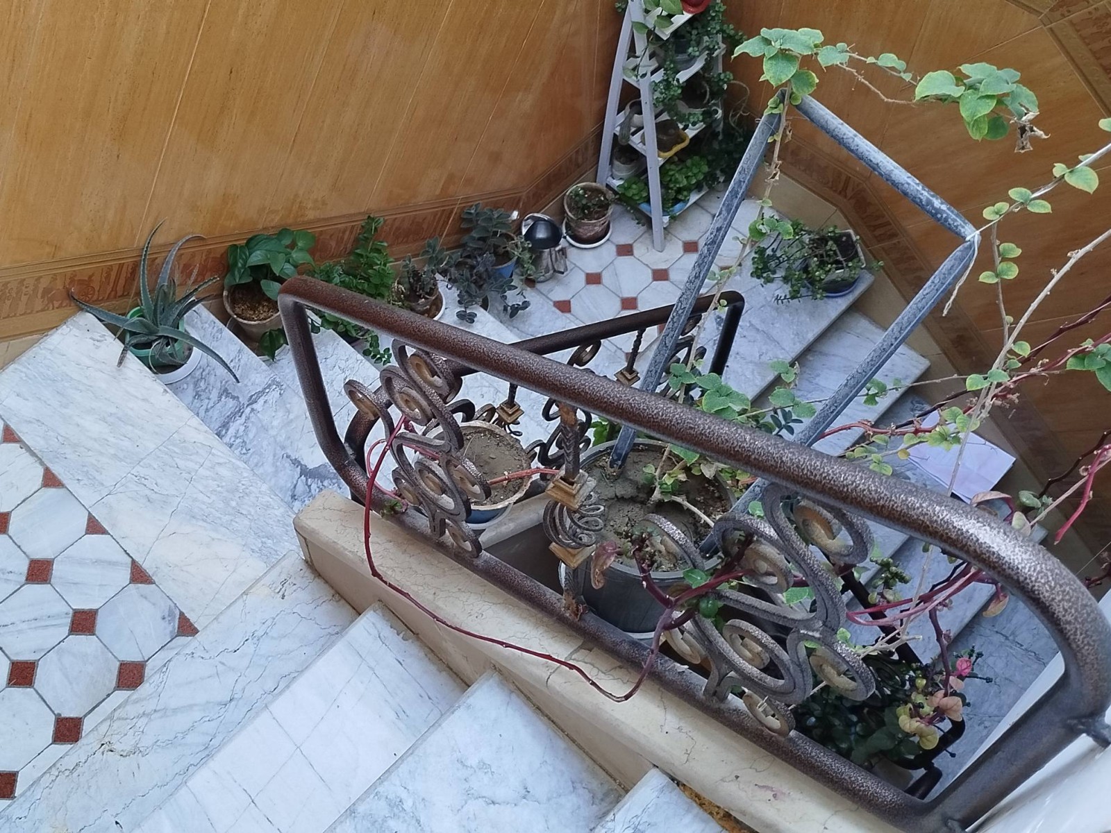 نمای بیرونی ساختمان