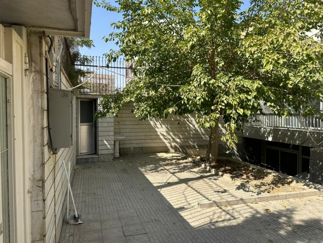 حیاط