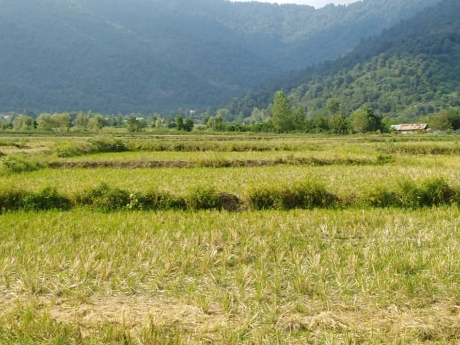 چشمانداز تراس چشمانداز تراس