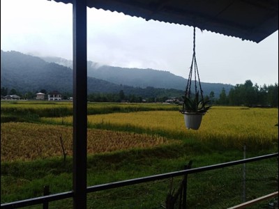 واحد مبله تک خواب جنگلی (طبقه همکف)