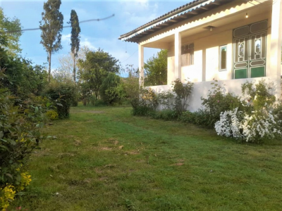 ویلای روستایی و جنگلی در محیطی دنج و آرام