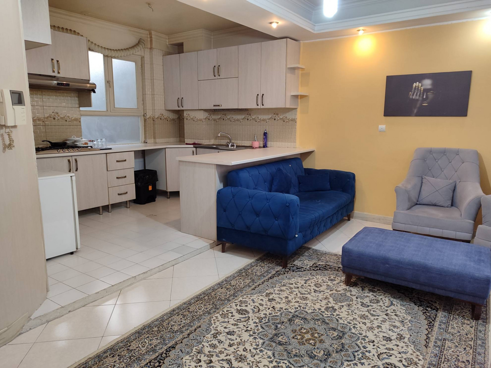 اتاق پذیرایی