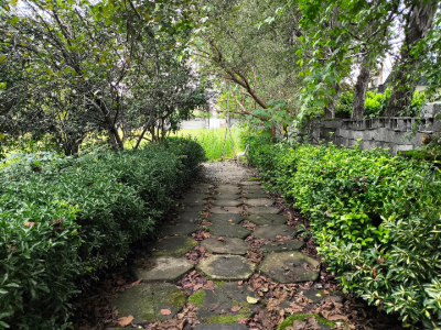 خونه باغ دنج نیکوکار 1