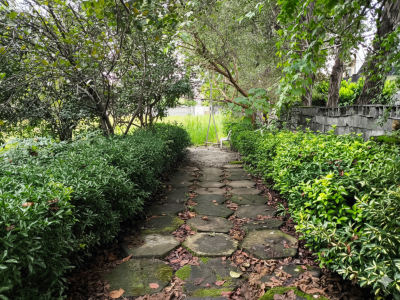 خونه باغ دنج نیکوکار 1