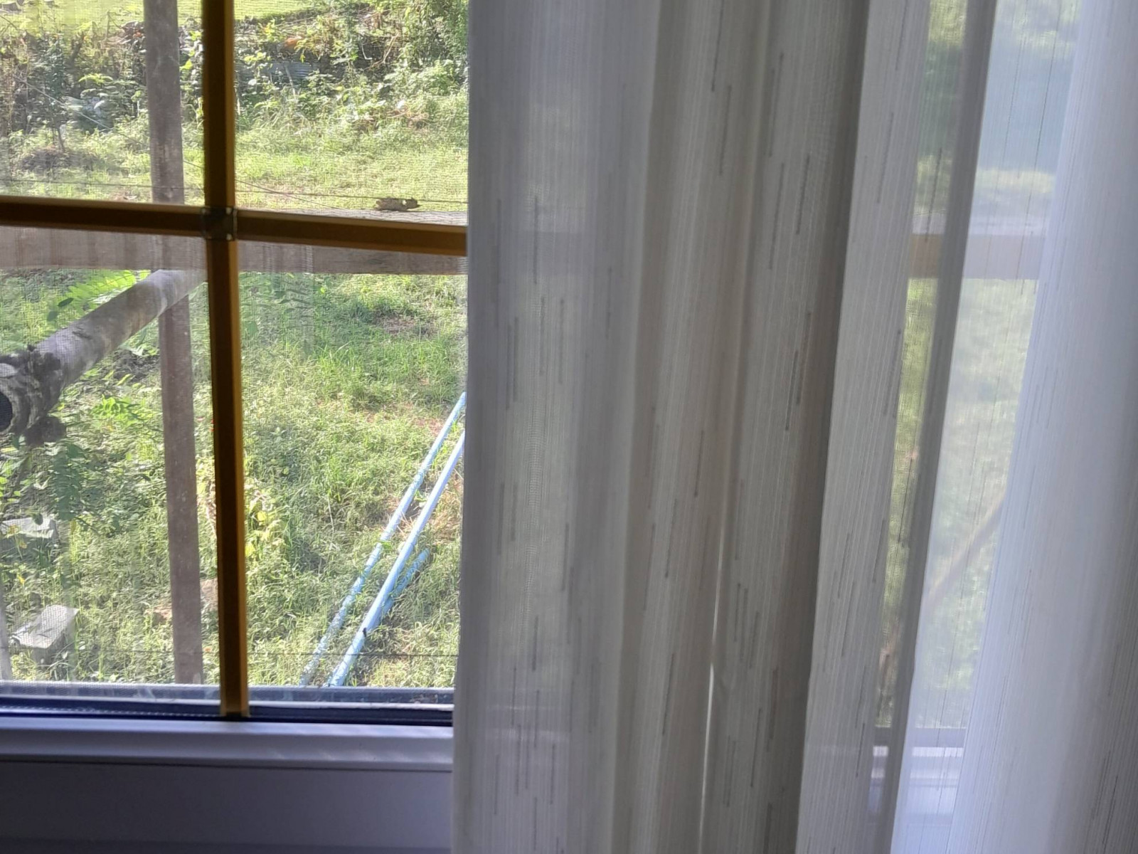 ویوی اتاق ویوی اتاق