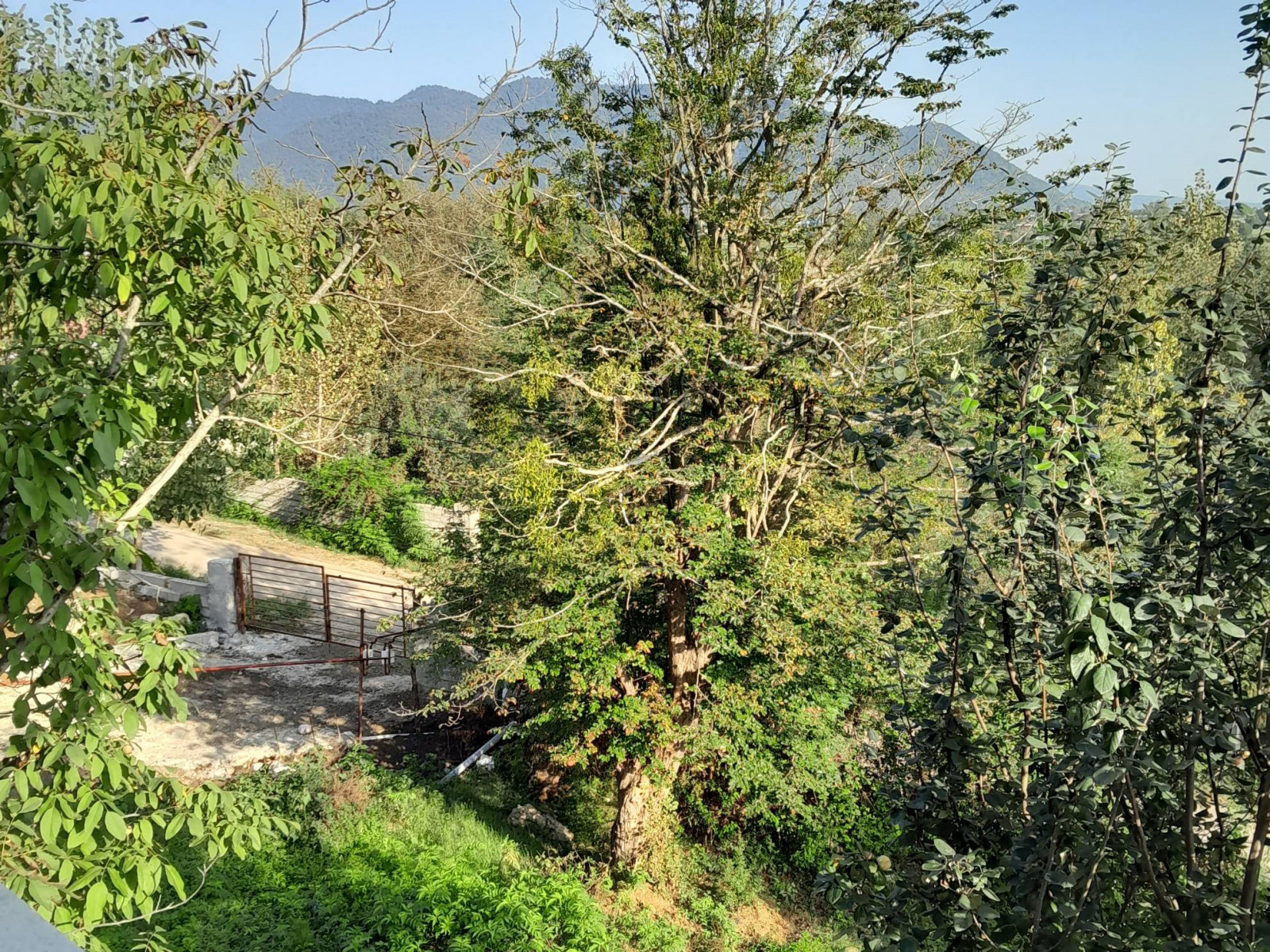 ویو به سمت جاده ویو به سمت جاده