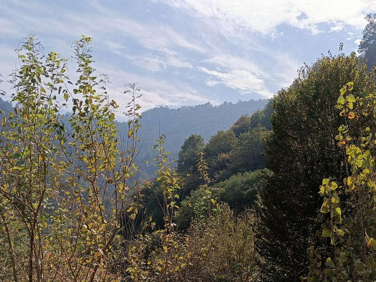 نمای بیرونی ساختمان