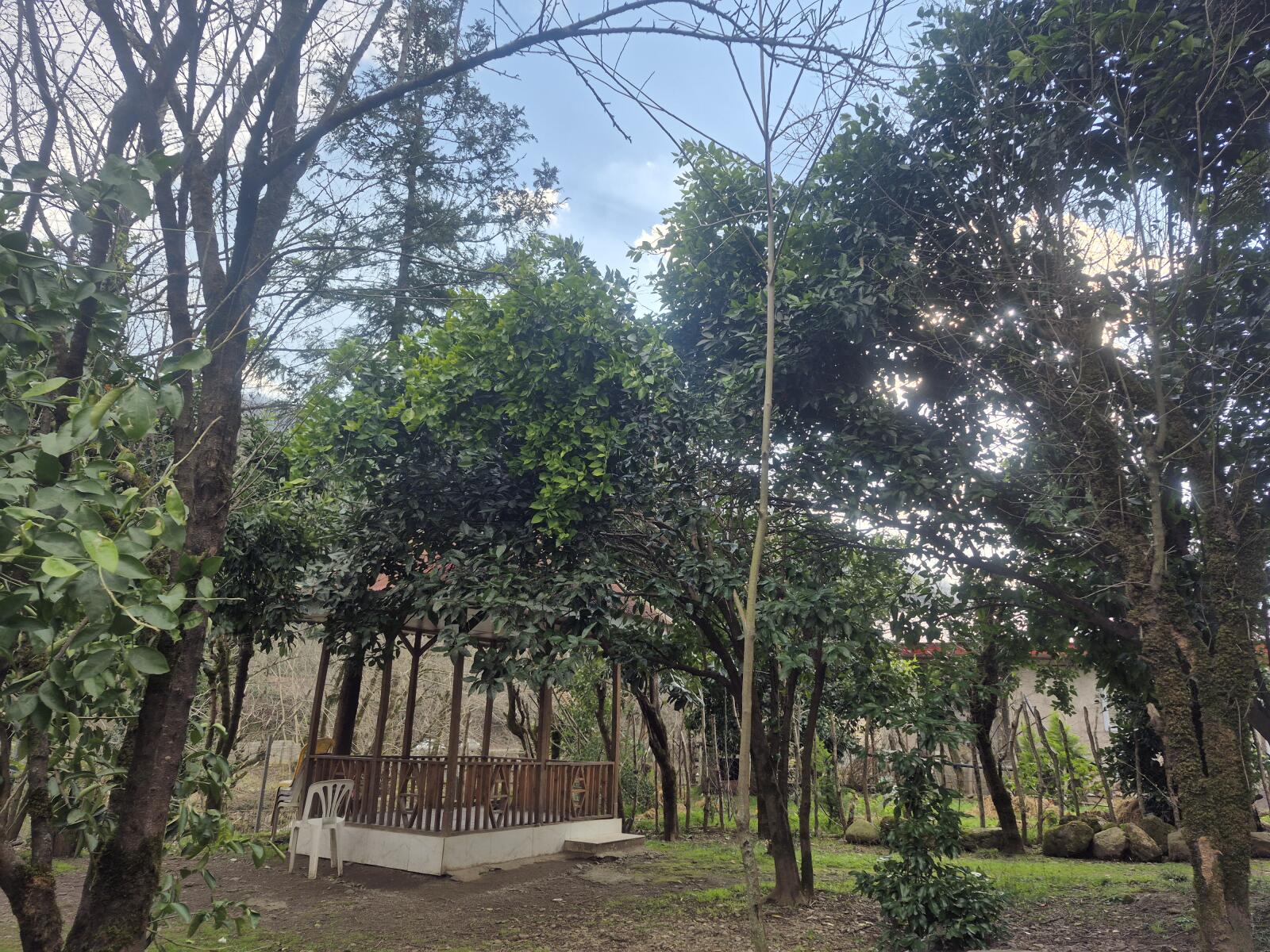 حیاط حیاط