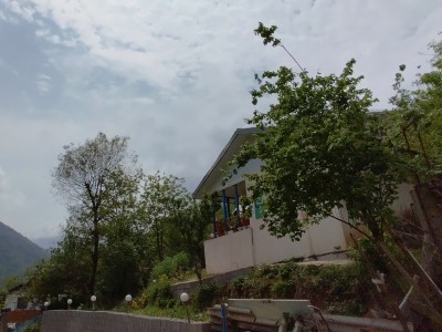 اقامتگاه روستایی و جنگلی