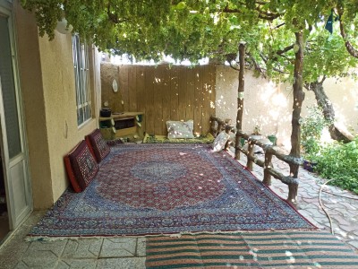 اقامتگاه روستایی با درخت انگور
