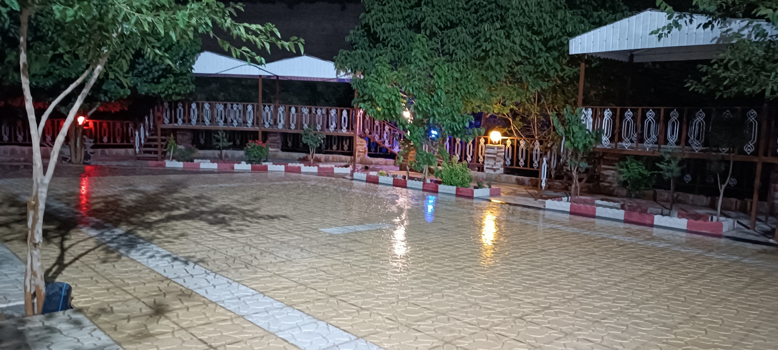 حیاط
