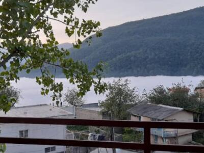 واحد مبله تک خواب جنگلی تراس‌دار